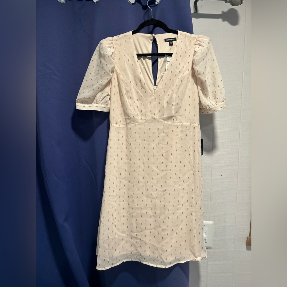 Express Dress Size M